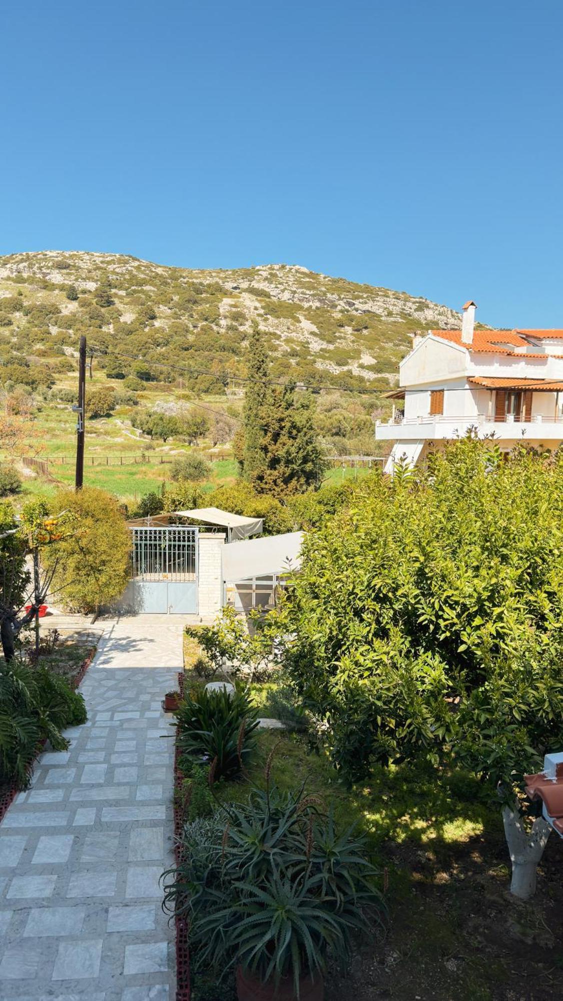 Agora Apartment Pythagoreio  Bagian luar foto